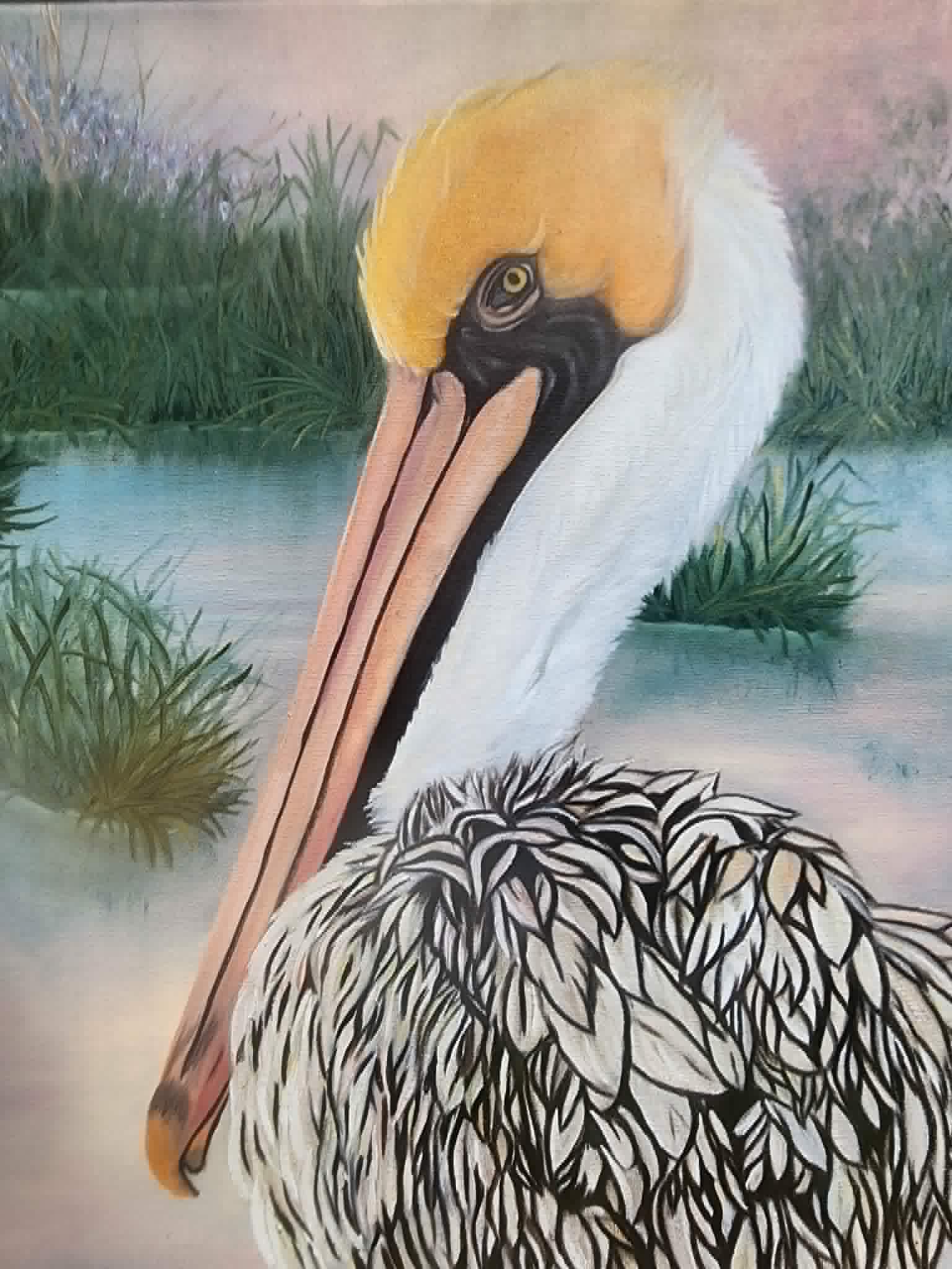 Wildlife & Nature Works
