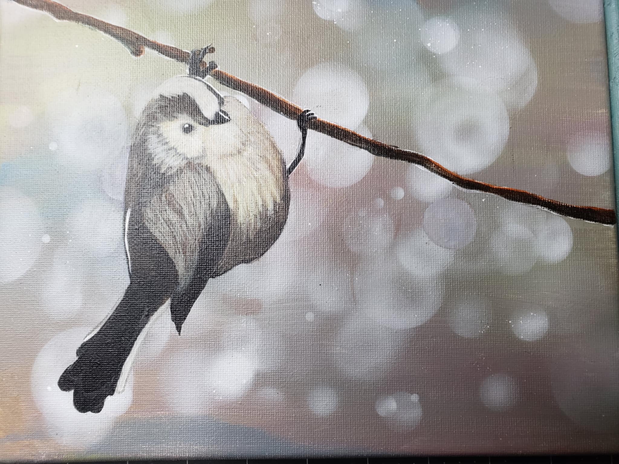 Wildlife & Nature Works